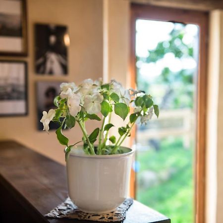 Bed and Breakfast Torre Nel Chianti Греве-ін-К'янті Екстер'єр фото