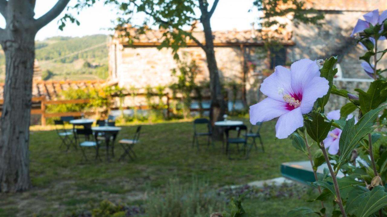 Bed and Breakfast Torre Nel Chianti Греве-ін-К'янті Екстер'єр фото